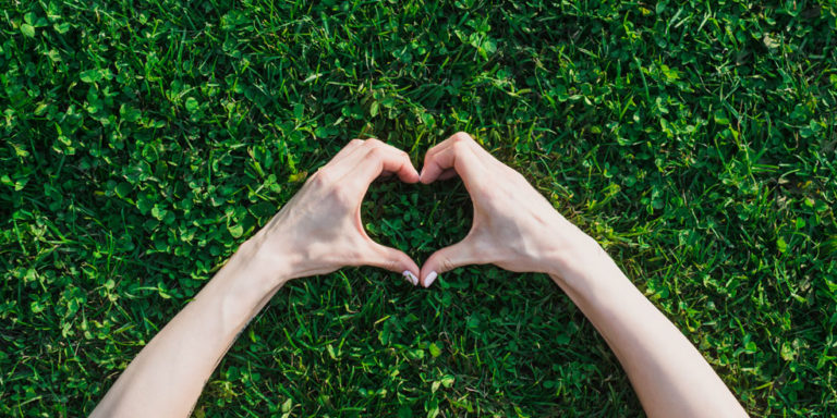 Ange Gardien : nos actions en 2019 - Partie 2