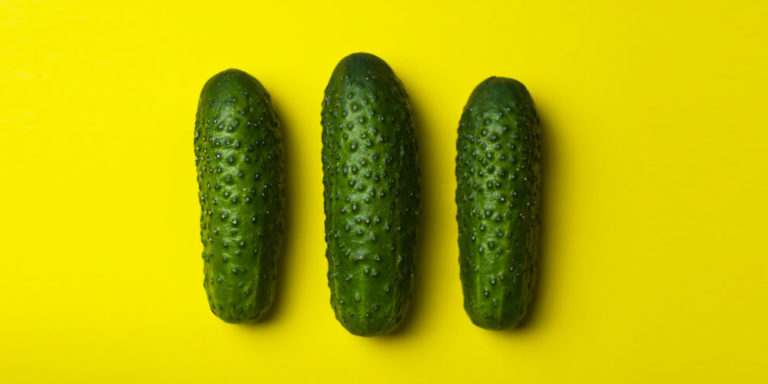 Spécial été : comment rester hydraté ! Actualités Ange Gardien dans le Gard